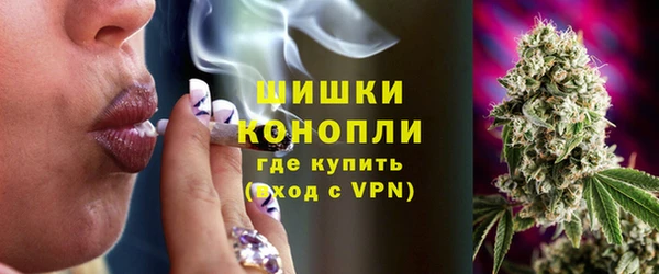 Альфа ПВП Ивангород