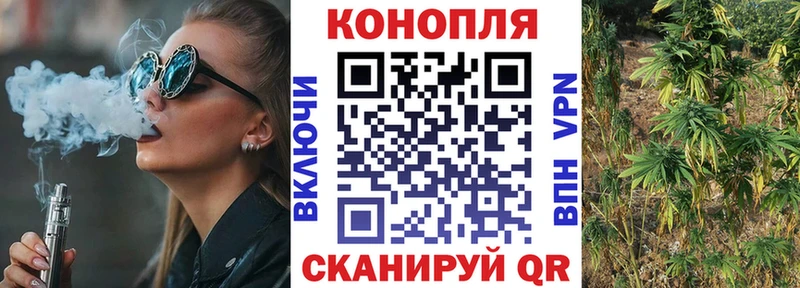 Купить закладки  Жердевка  Канабис Ganja 